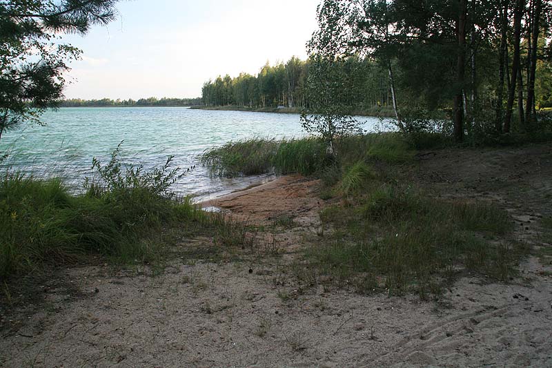 Grünewalder Lauch (Grünewalde, Brandenburg)
