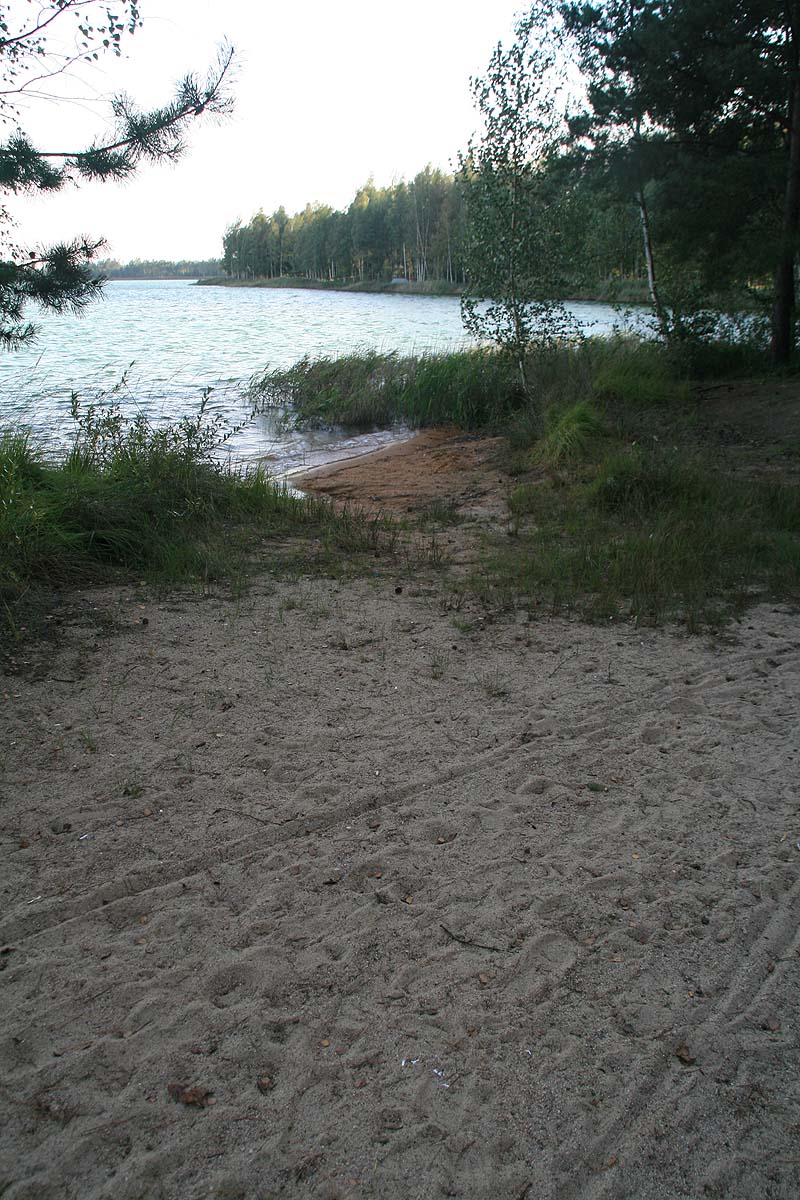 Grünewalder Lauch (Grünewalde, Brandenburg)