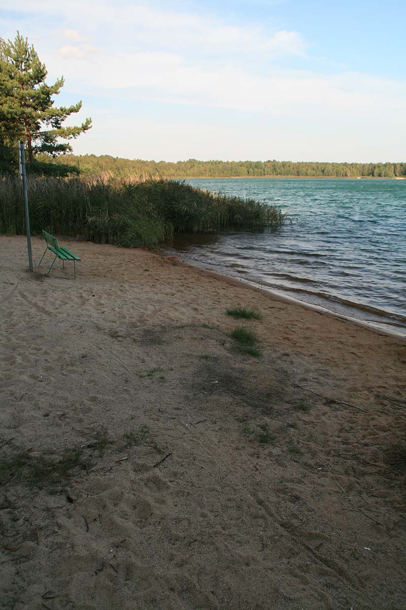 Grünewalder Lauch (Grünewalde, Brandenburg)