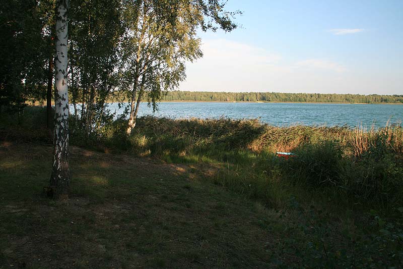 Grünewalder Lauch (Grünewalde, Brandenburg)