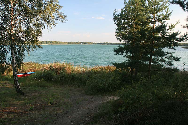 Grünewalder Lauch (Grünewalde, Brandenburg)