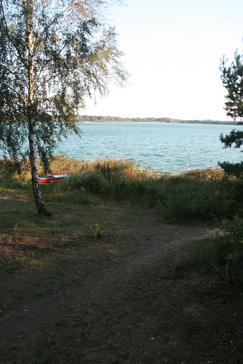 Grünewalder Lauch (Grünewalde, Brandenburg)