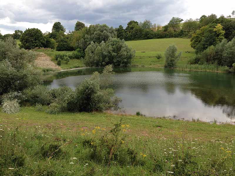 Gültlinger See (Calw, Baden-Württemberg)