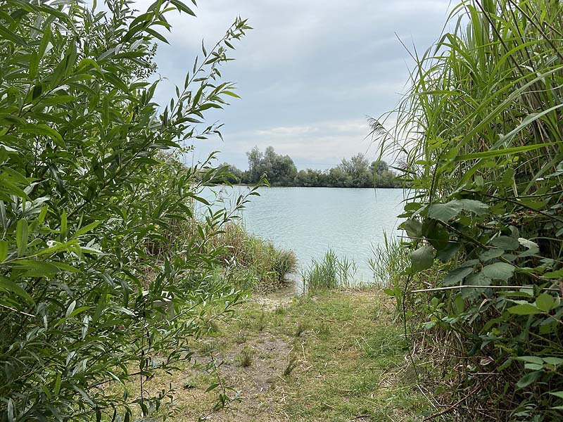 Der Gutbrod-Weiher in Berglern