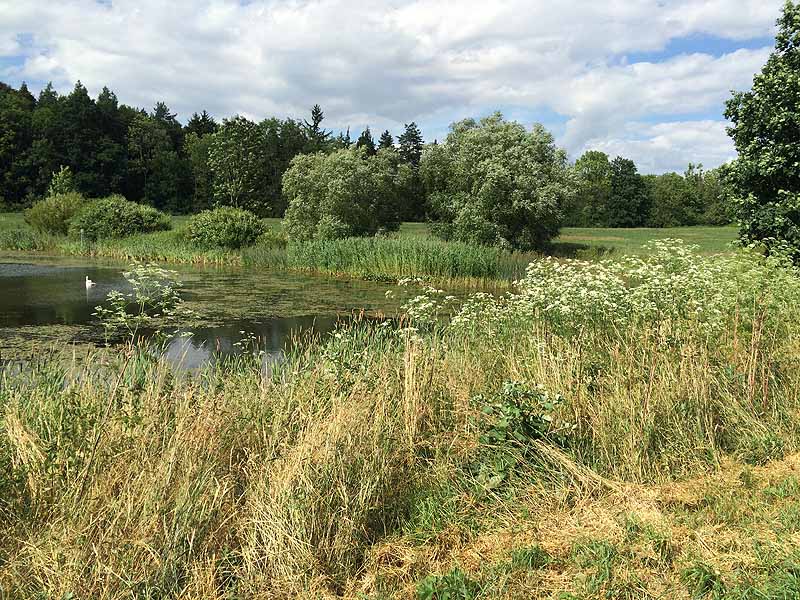 See Habichtsprung (Weimar, Thüringen)