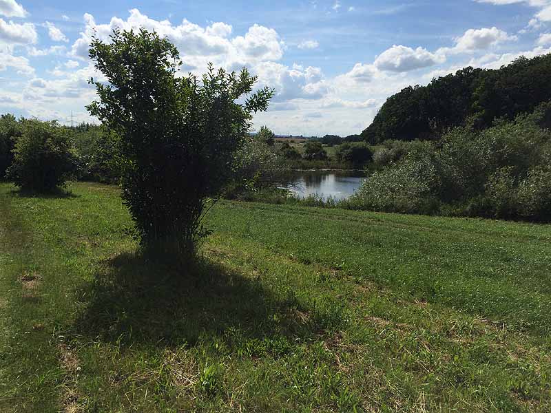 See Habichtsprung (Weimar, Thüringen)