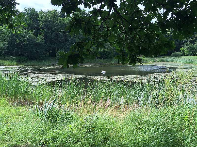 See Habichtsprung (Weimar, Thüringen)