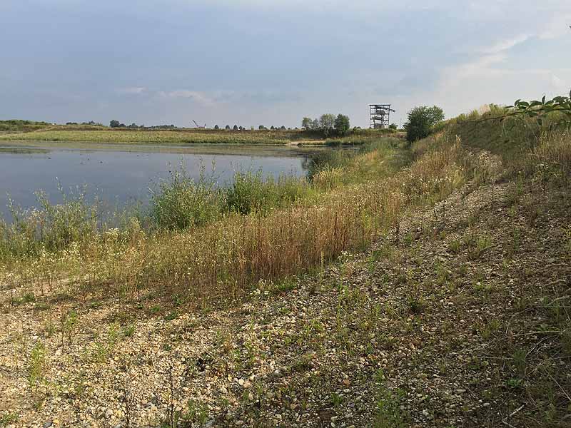 Hackerweiher (Deggendorf-Natternberg, Bayern)