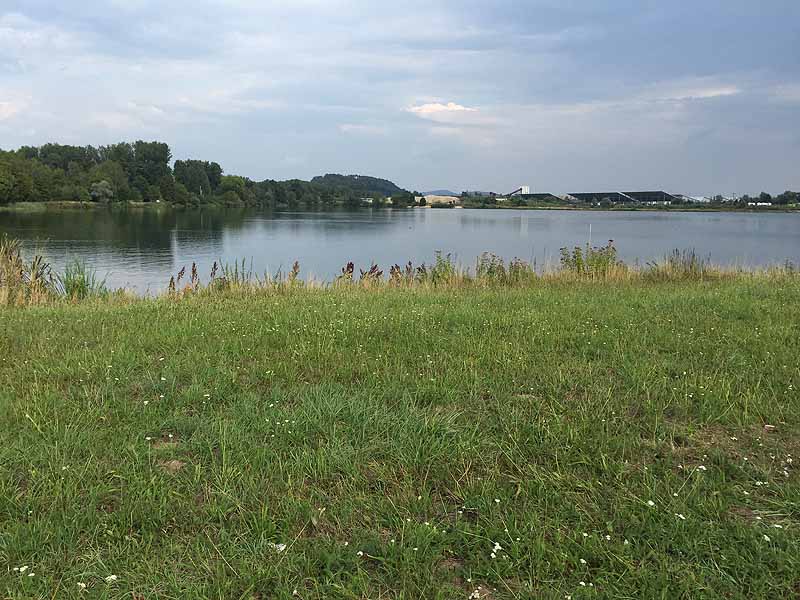 Hackerweiher (Deggendorf-Natternberg, Bayern)