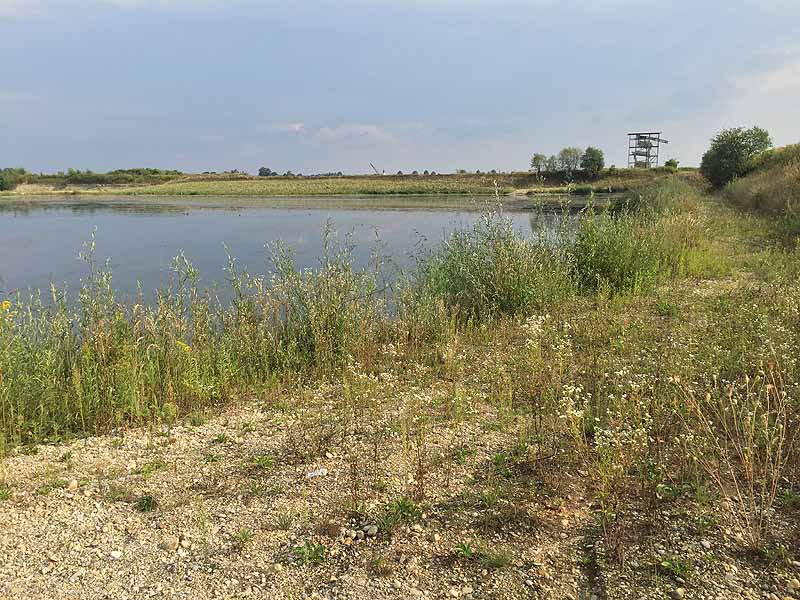 Hackerweiher (Deggendorf-Natternberg, Bayern)