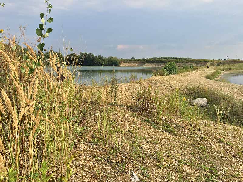 Hackerweiher (Deggendorf-Natternberg, Bayern)