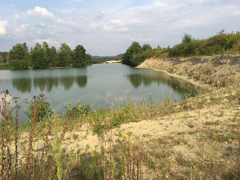 Hackerweiher (Deggendorf-Natternberg, Bayern)