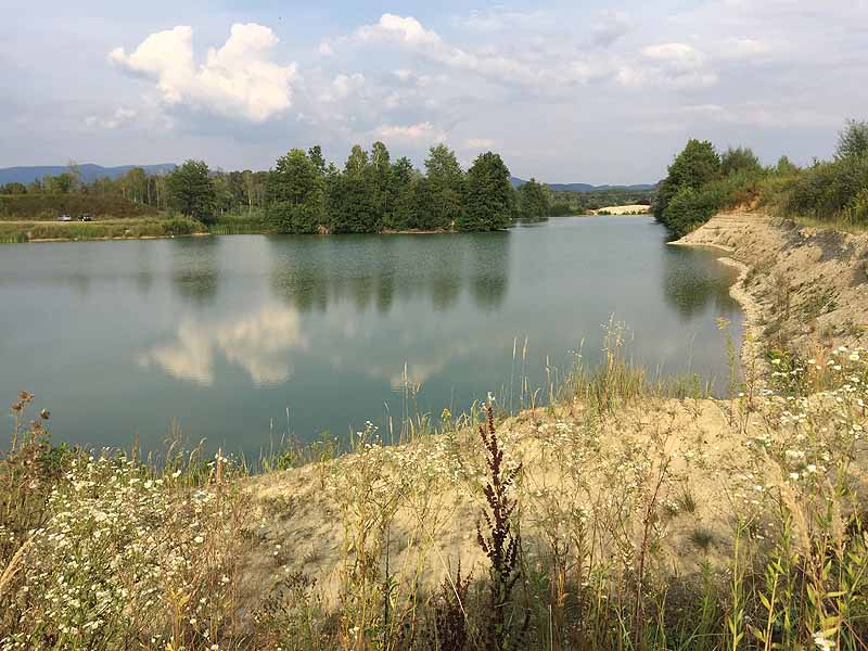 Hackerweiher (Deggendorf-Natternberg, Bayern)