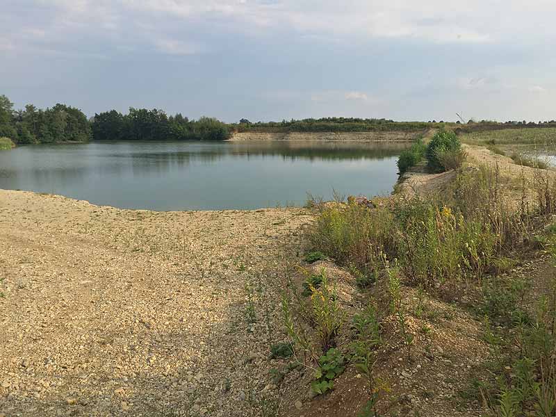 Hackerweiher (Deggendorf-Natternberg, Bayern)