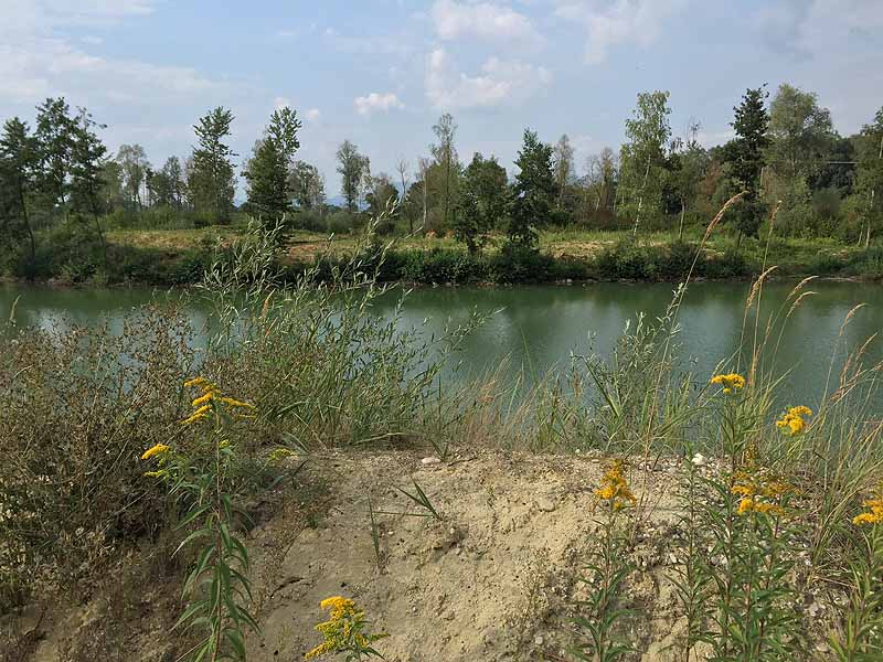 Hackerweiher (Deggendorf-Natternberg, Bayern)