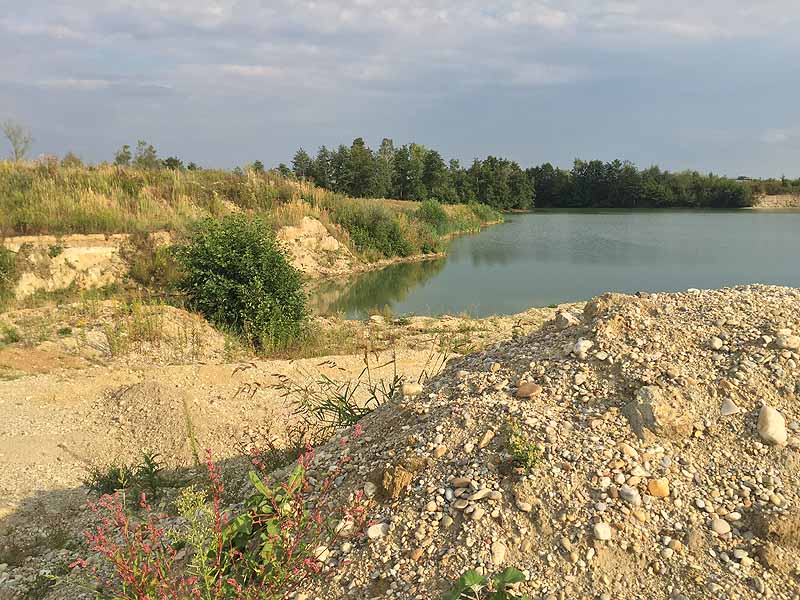 Hackerweiher (Deggendorf-Natternberg, Bayern)