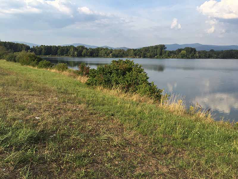 Hackerweiher (Deggendorf-Natternberg, Bayern)