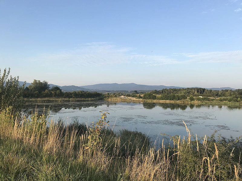 Hackerweiher (Deggendorf-Natternberg, Bayern)