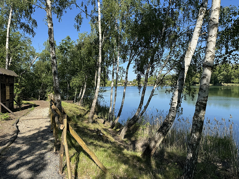 Der Badesee Hainbergsee in Meuselwitz