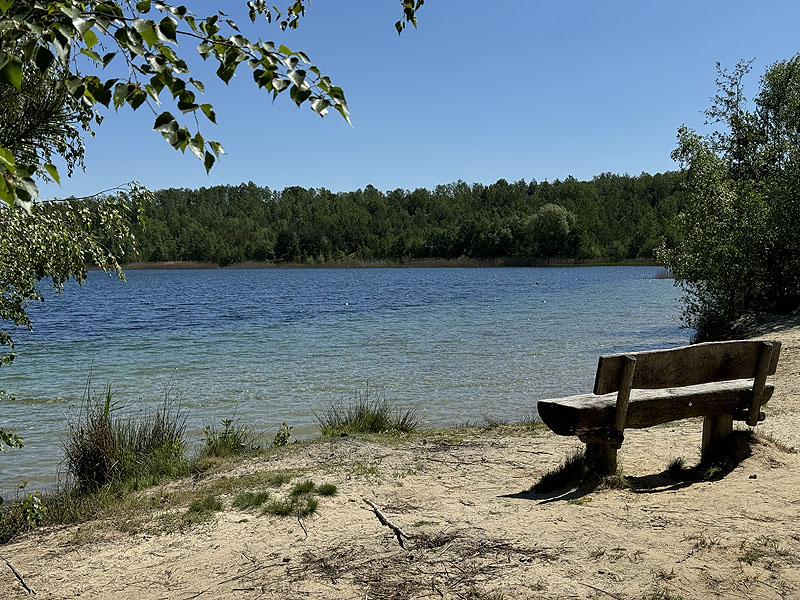 Der Badesee Haselbacher See in Wintersdorf