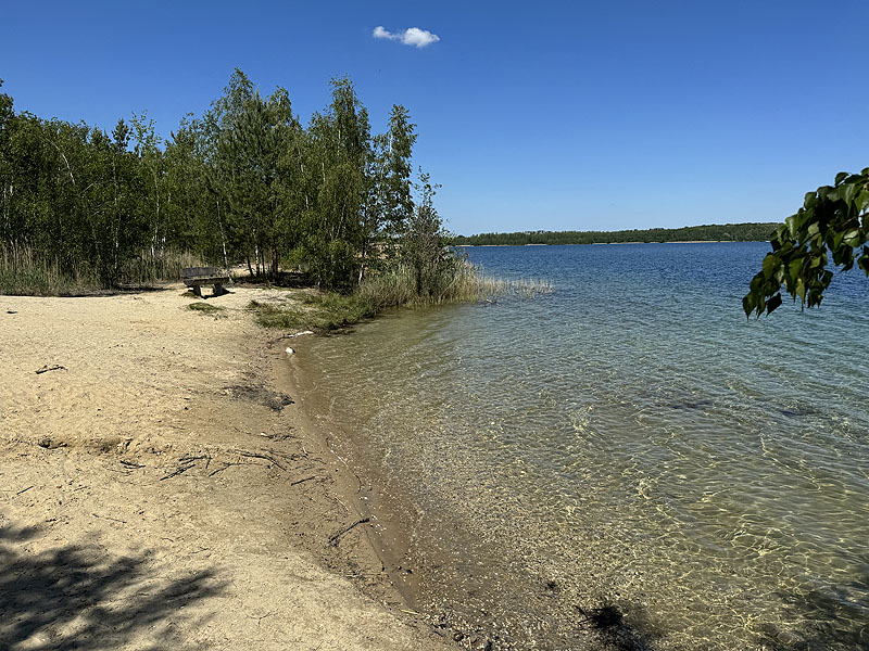 Der Badesee Haselbacher See in Wintersdorf