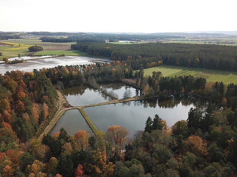 Luftaufnahme, Luftbild vom Haundorfer Weiher in Haundorf