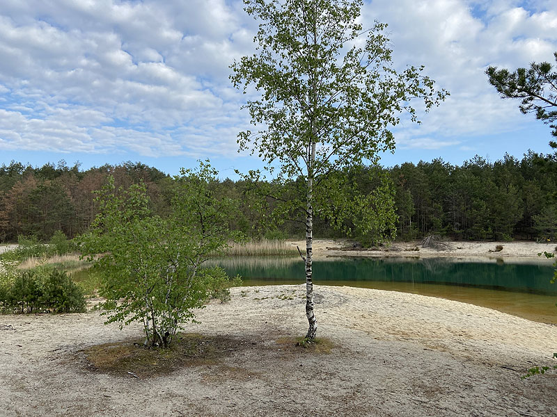 Hennersdorfer See (Finsterwalde, Brandenburg)