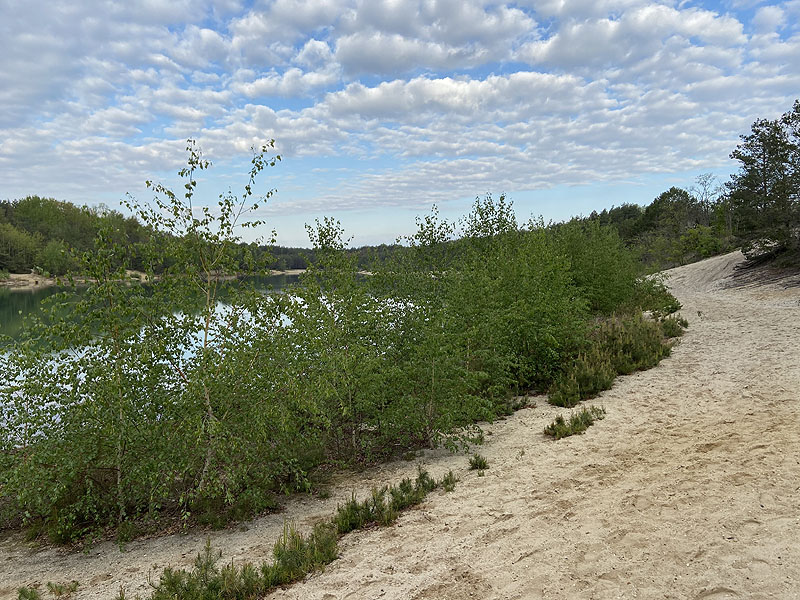 Hennersdorfer See (Finsterwalde, Brandenburg)