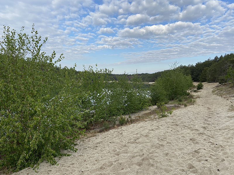 Hennersdorfer See (Finsterwalde, Brandenburg)