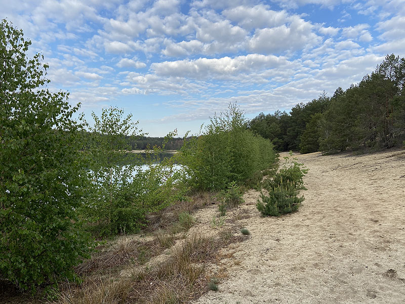 Hennersdorfer See (Finsterwalde, Brandenburg)
