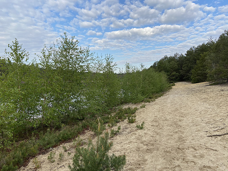 Hennersdorfer See (Finsterwalde, Brandenburg)
