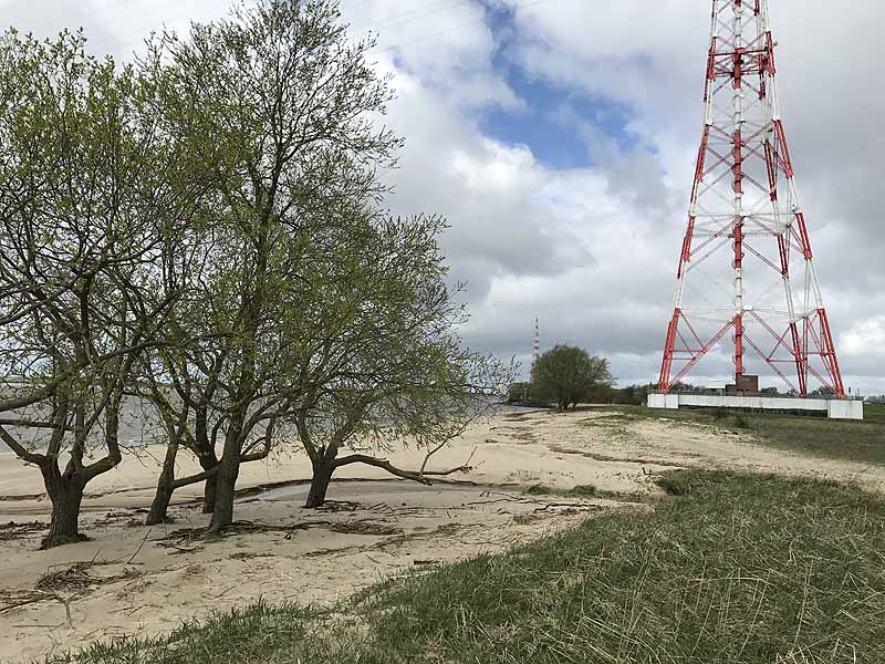 Elbstrand (Hetlinger Schanze, Schleswig-Holstein)