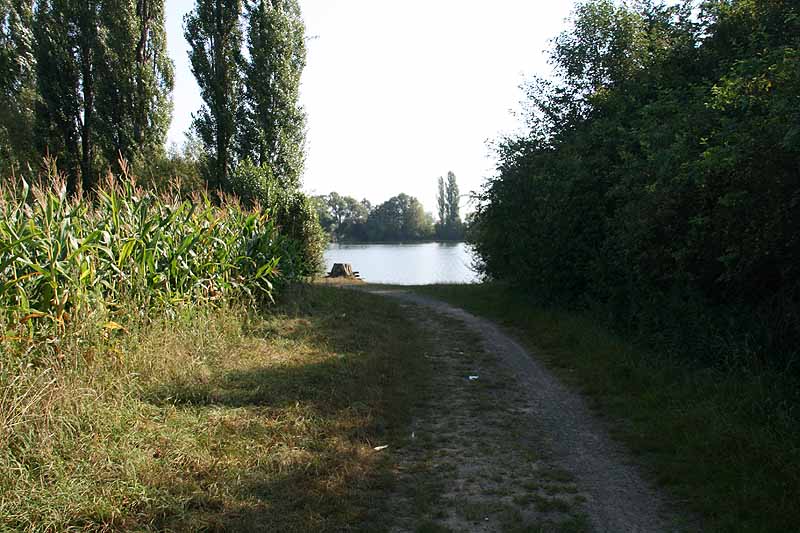 Silbersee (Heuchelheim, Hessen)