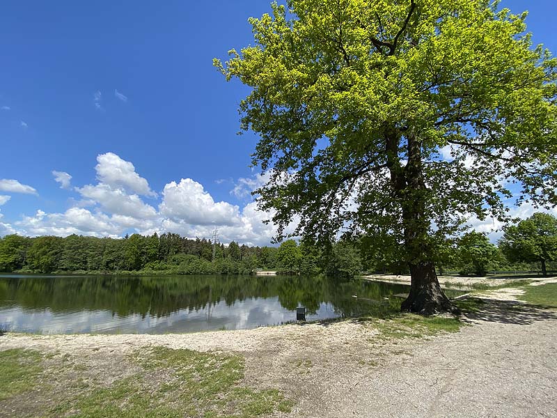 Der Badesee Naturbadesee Höllohe in Teublitz