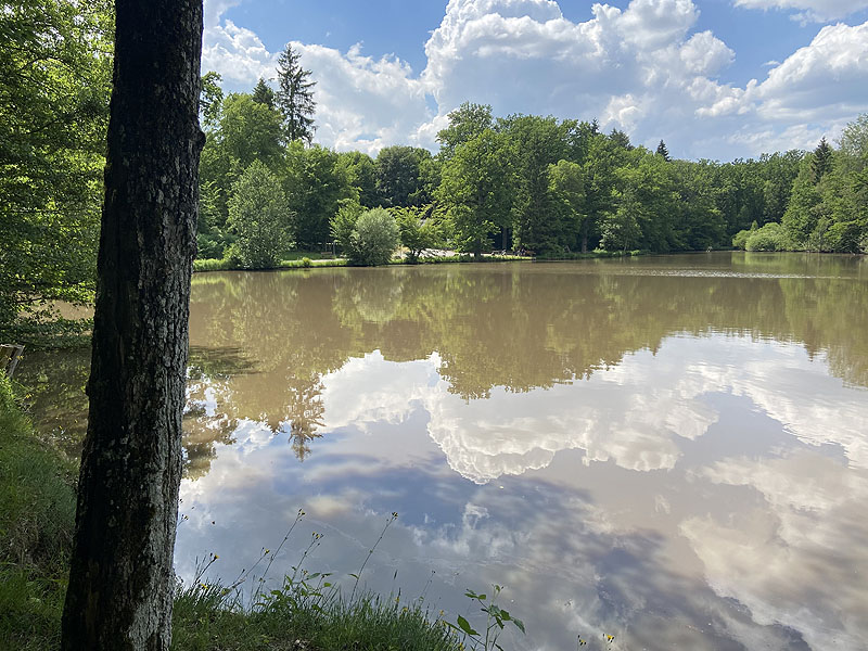 Der Hölzersee in Sindelfingen