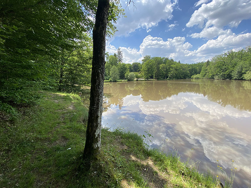 Der Hölzersee in Sindelfingen