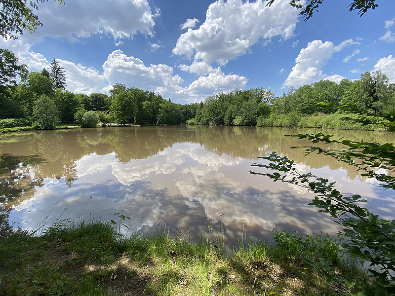 Der Hölzersee in Sindelfingen