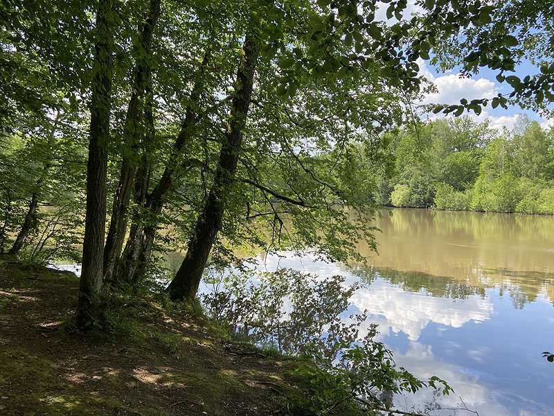 Der Hölzersee in Sindelfingen