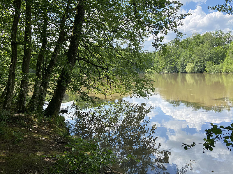 Der Hölzersee in Sindelfingen
