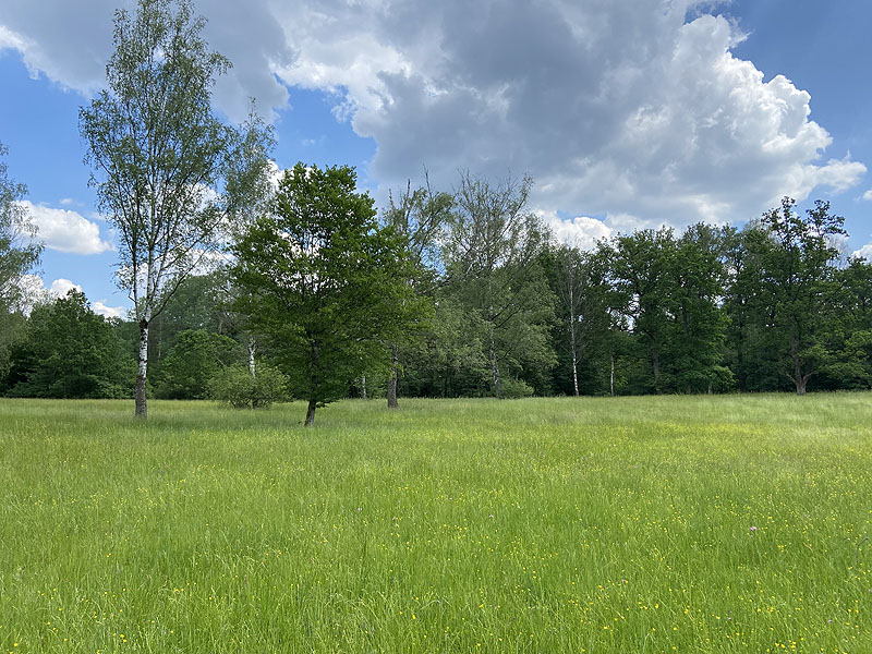 Der Hölzersee in Sindelfingen
