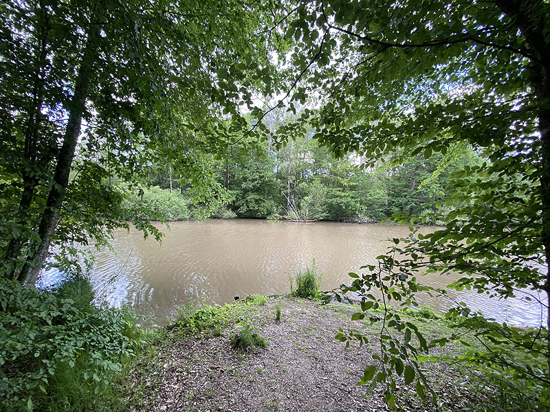 Der Hölzersee in Sindelfingen