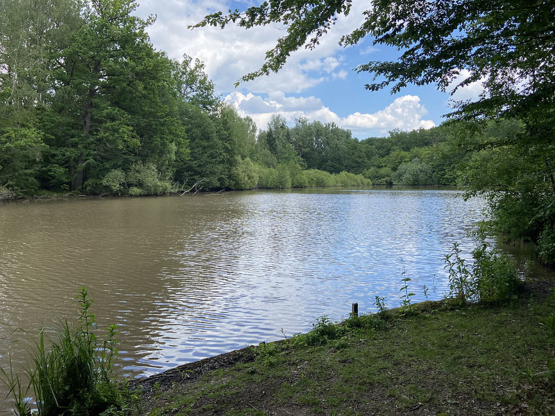 Der Hölzersee in Sindelfingen