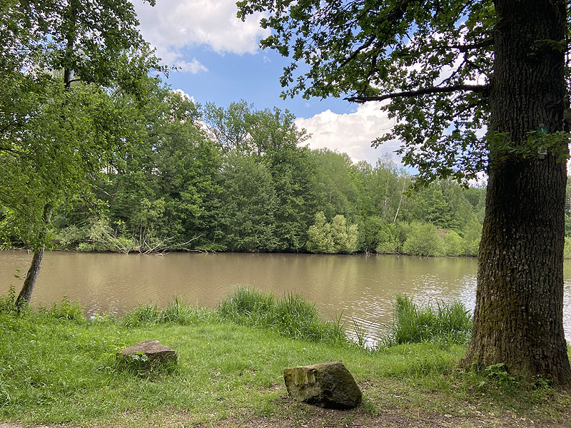 Der Hölzersee in Sindelfingen