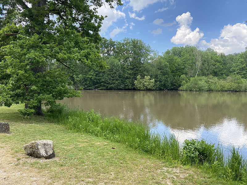 Der Hölzersee in Sindelfingen