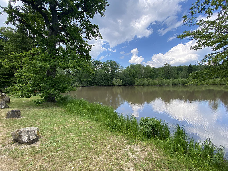 Der Hölzersee in Sindelfingen