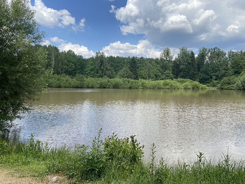 Der Hölzersee in Sindelfingen
