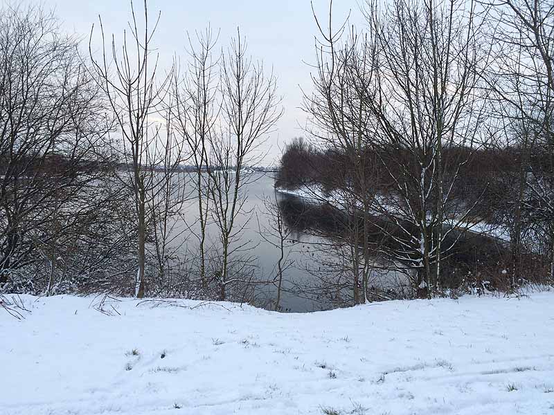 Hollerner See in Eching bei München im Winter