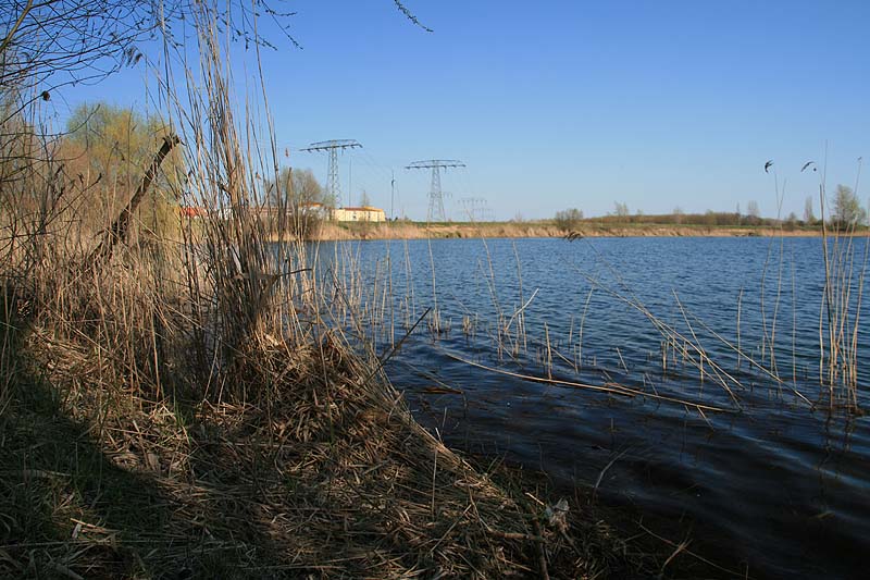 Hufeisensee (Halle/Saale, Sachsen-Anhalt)