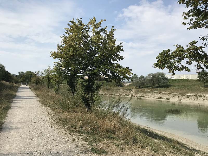 Hundesee in München-Untermenzing (Bayern)