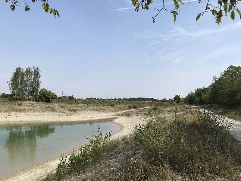 Hundesee in München-Untermenzing (Bayern)